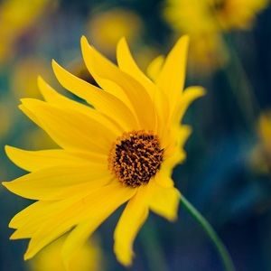 Meet your Posher, Cristina